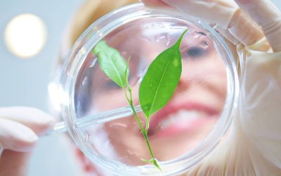 The placebo effect – experimenting on consumers