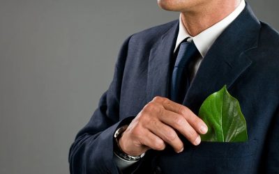 CMA consumer protection and greenwashing: practical guide for brands